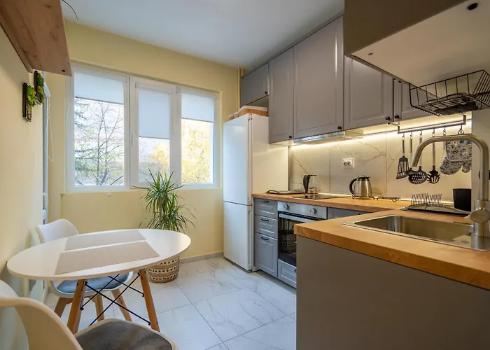 Lotus With Free Parking 公寓 索菲亞