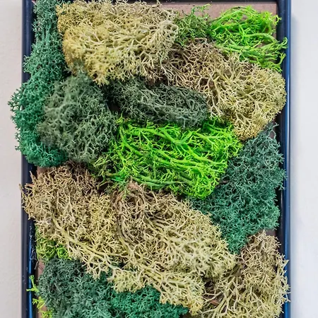 Lotus With Free Parking Apartmán *