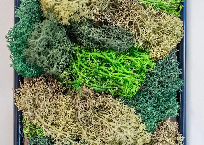 Lotus With Free Parking Appartement *